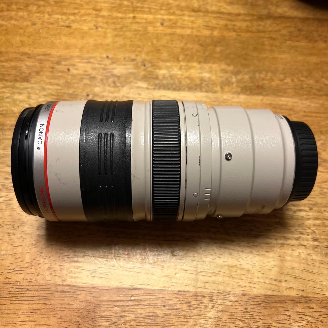 サー‼️ Canon zoom ef 35-350mmF3.5-5.6 l