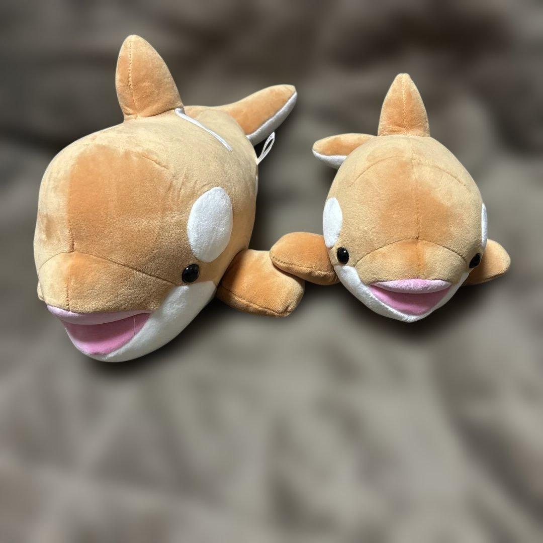 神戸須磨シーワールド シャチぬいぐるみ オルカくじ 3等 4等 限定