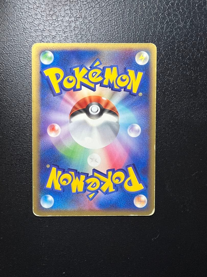 ポケモンカード ライコウ ポケパークプレミアムファイル 005/009