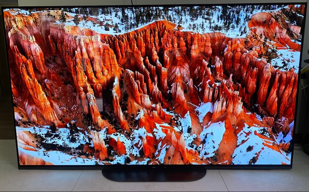 ソニー ブラビア55V型 4K有機ELテレビ KJ-55A9G - メルカリ
