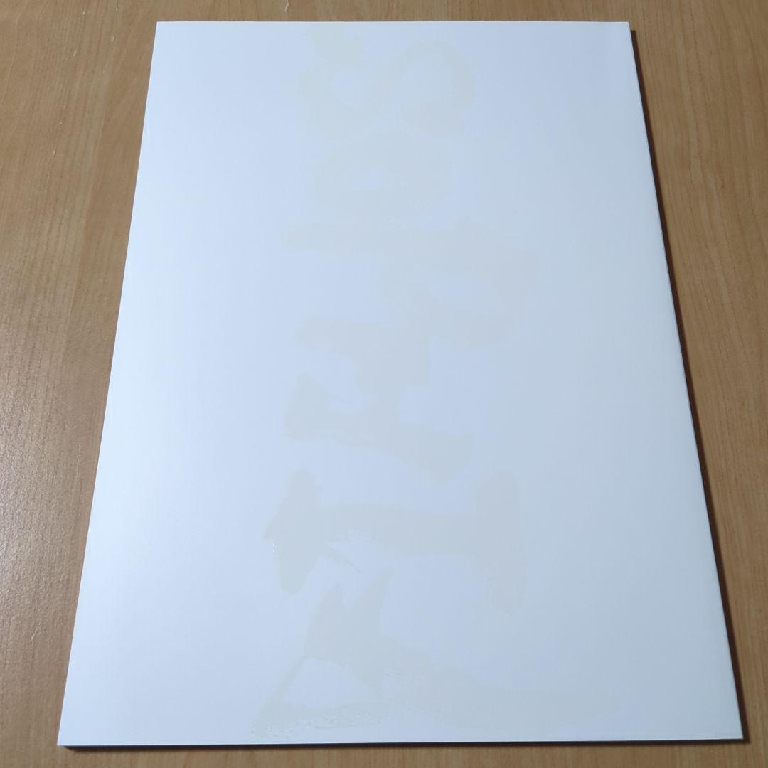 SOPHIA 未来大人宣言 DVD パンフレット 非売品DVD