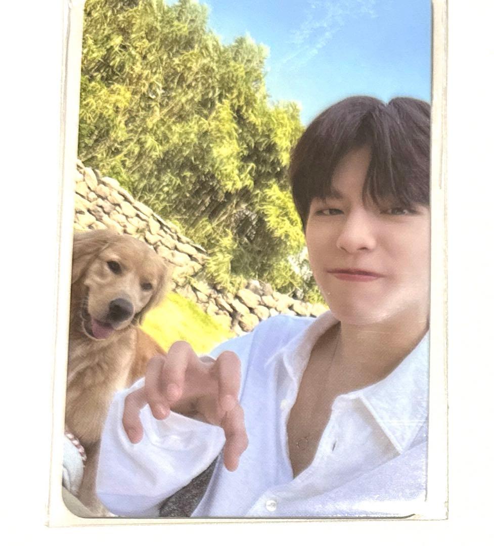 Stray Kids スンミントレカ JEJU ショップ特典 JYP Kids JEJU in