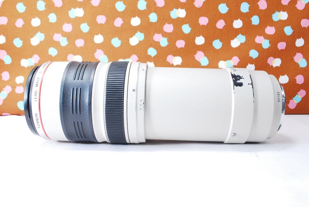 ✨憧れの白レンズ✨Canon EF 35-350mm F3.5-5.6 L