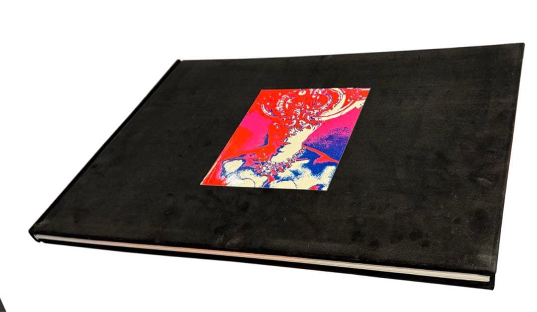 期間限定値下げ☆ 新輯版 薔薇刑☆三島由紀夫／細江英公:写真／横尾