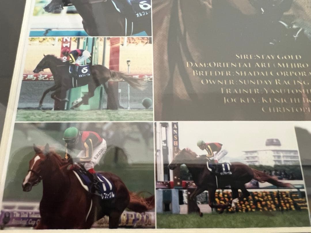 ☆競馬☆ ORFEVRE オルフェーヴル 三冠馬 記念パネル 池添謙一騎手