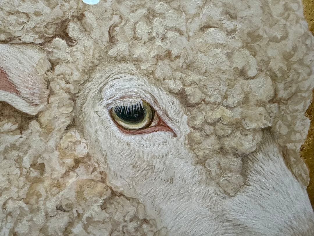 丸山友紀 eyes of sheep 共シール - メルカリ