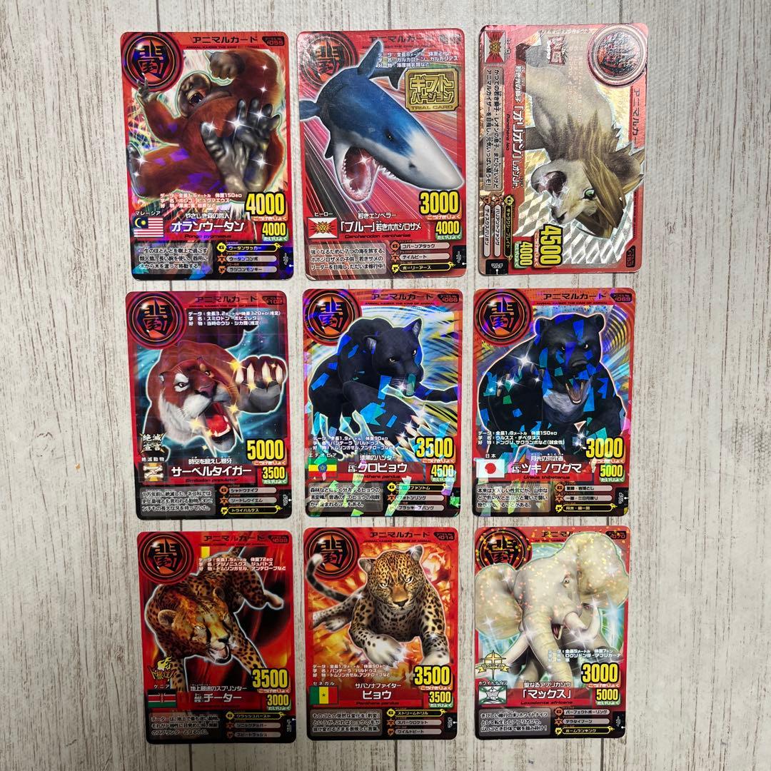 アニマルカイザー / まとめ売り - メルカリ