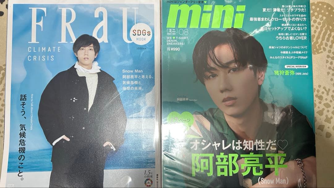 阿部亮平雑誌まとめ売り - メルカリ