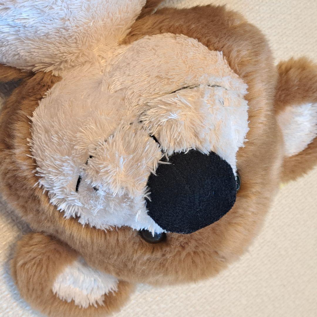 スージーズー サンアロー ハート ぬいぐるみ2体セット SunArrow 大きい