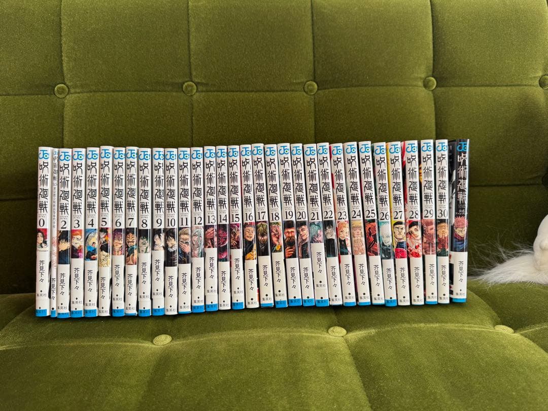 呪術廻戦0〜30巻(1巻抜け)+公式ファンブック+0.5巻付き 呪術廻戦0〜30巻(1巻抜け)+公式ファンブック+0.5