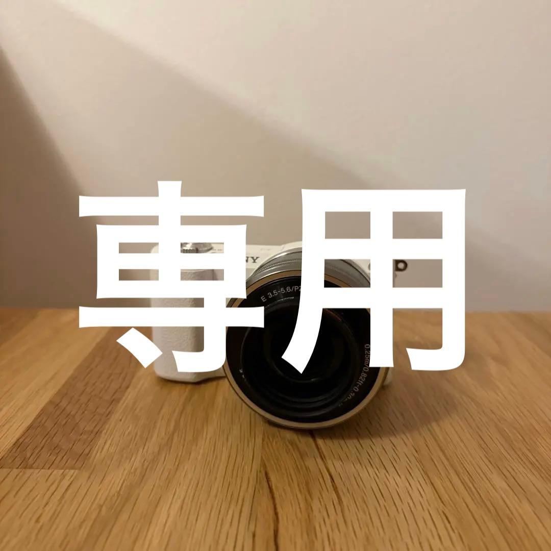 SONY α5100 ミラーレスカメラ 本体・レンズ・バッテリー付き レンタル] ソニー α5100 ボディ ミラーレス一眼 - Rentio[レンティオ]