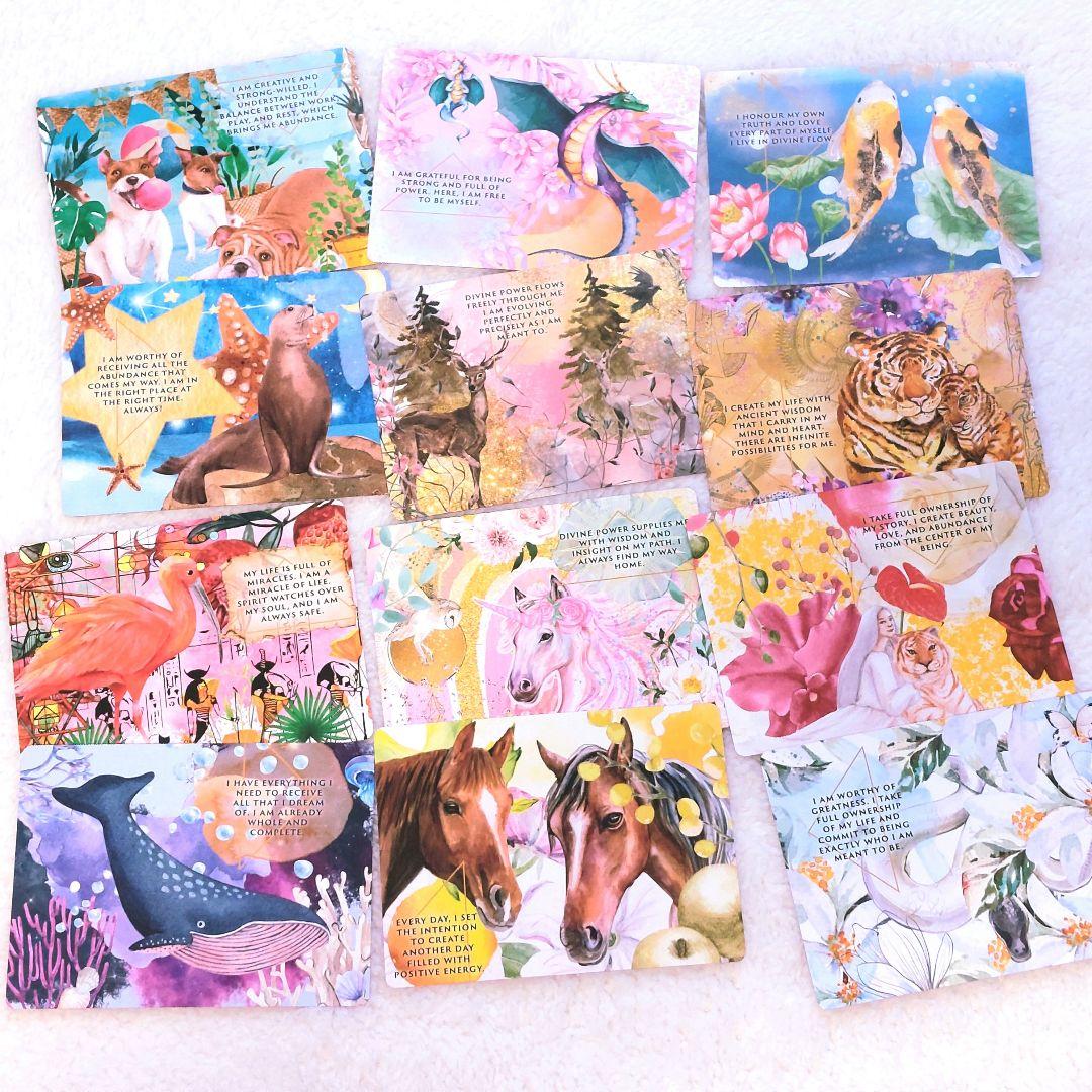 新品 ピンクエッジ♡アニマルオーラ錬金術 オラクルカード 全47枚