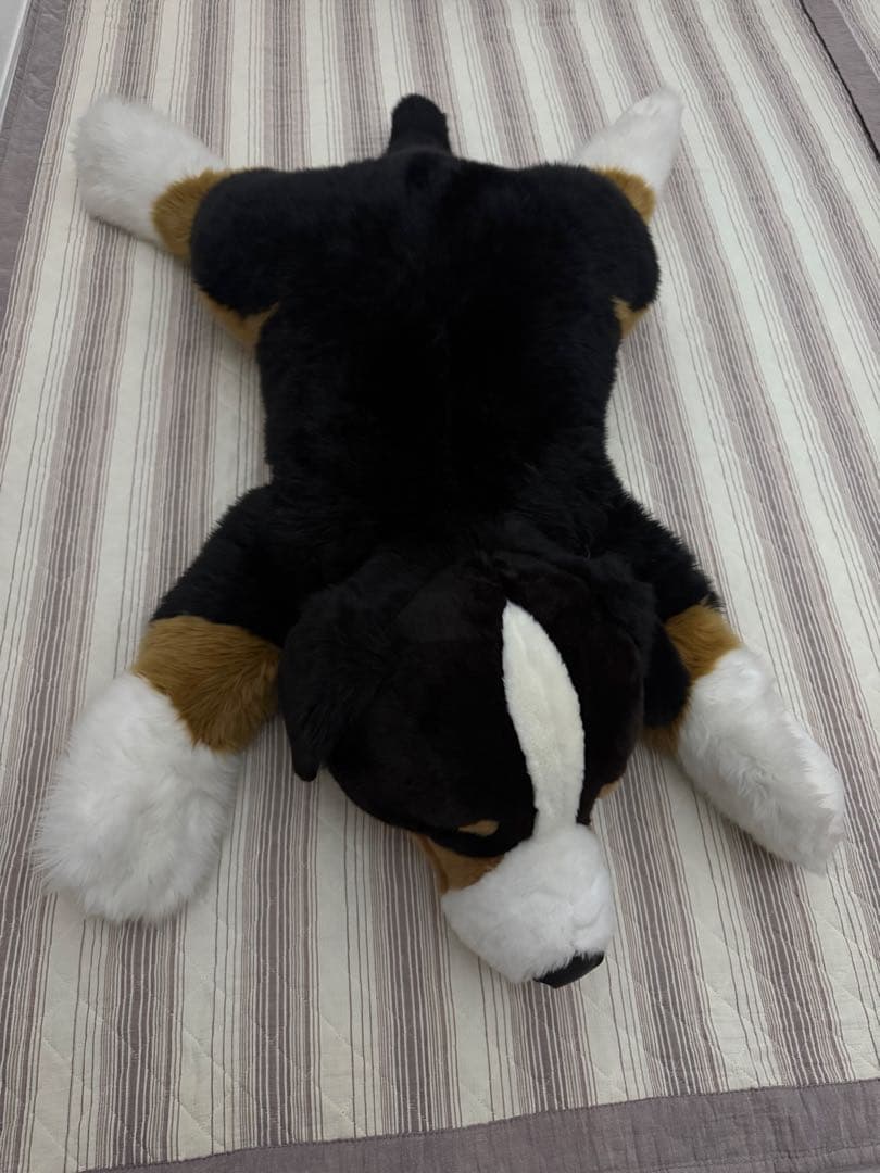 【希少】バーニーズマウンテンドッグ　乗れちゃう！特大わんちゃんぬいぐるみ【レア】 バーニーズマウンテンドッグ ぬいぐるみ（ 立ち ）抱きしめたくなる