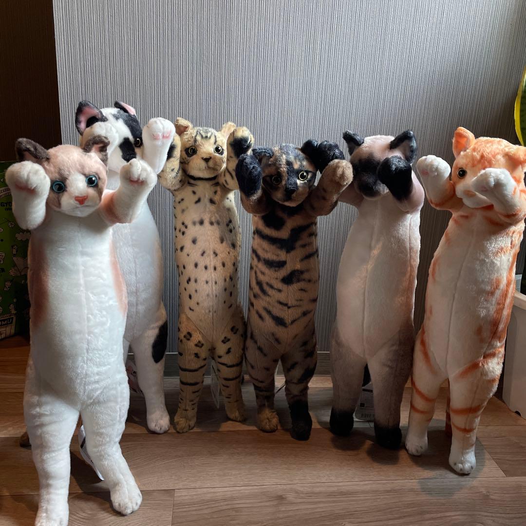 たっちい　Zoo にゃんこ ぬいぐるみ まとめ売り 自立する猫　ぬいぐるみ imgrc0082462691.jpg