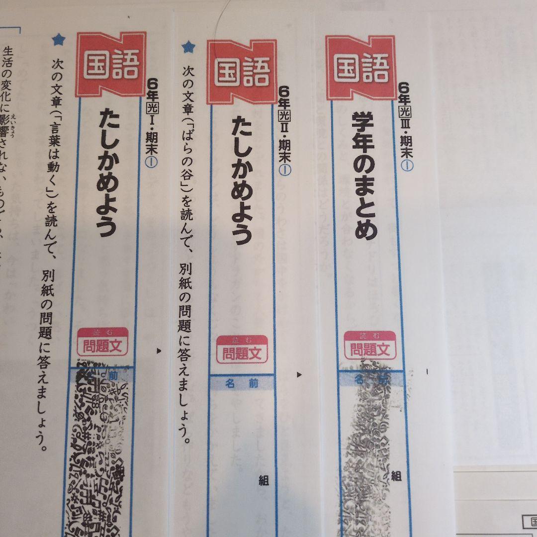ぶんけい カラーテスト 小6 国語 光村図書 6年生 Nぶんけい - メルカリ