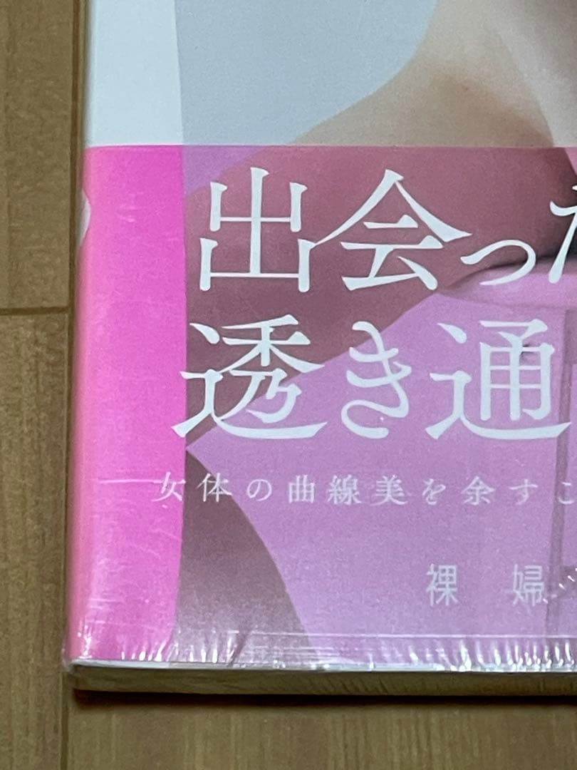 大人気激レア【新品未開封】石川澪　プレミアムヌード・ポーズブック