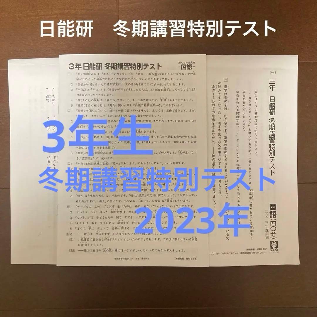 日能研 3年生 冬期講習特別テスト 2023年 - メルカリ