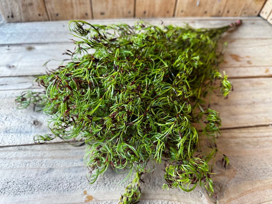 Mari〜様 リクエスト 3点 まとめ商品