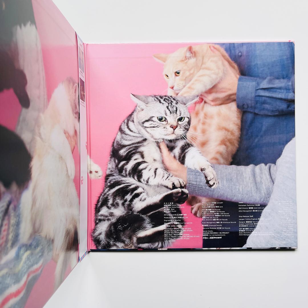 美品 稀少限定盤 レコード 2枚組〔 きのこ帝国 猫とアレルギー 〕佐藤