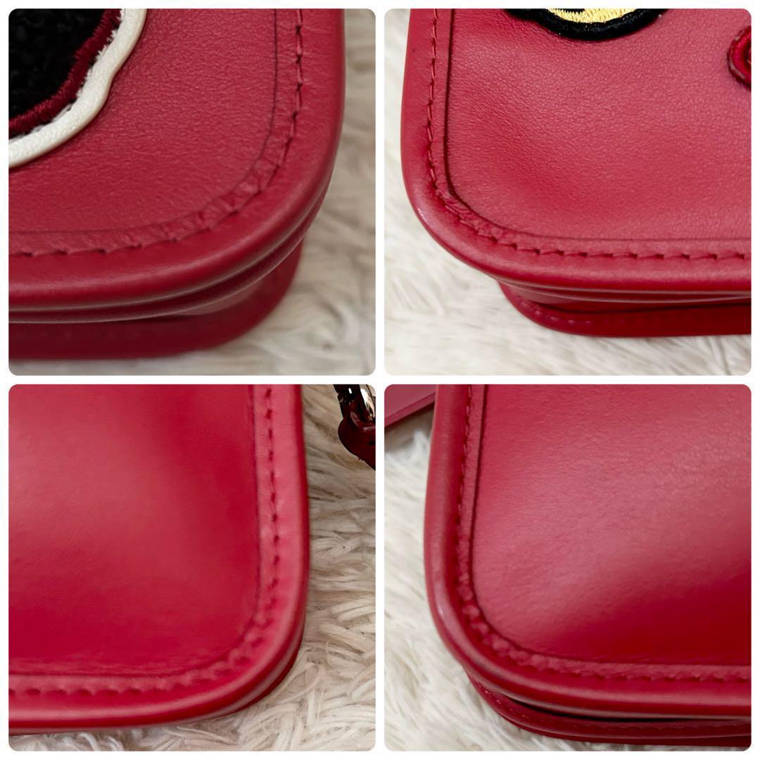 極美品 コーチ ウィズ ペニー ショルダーバッグ カメラバッグ クロス