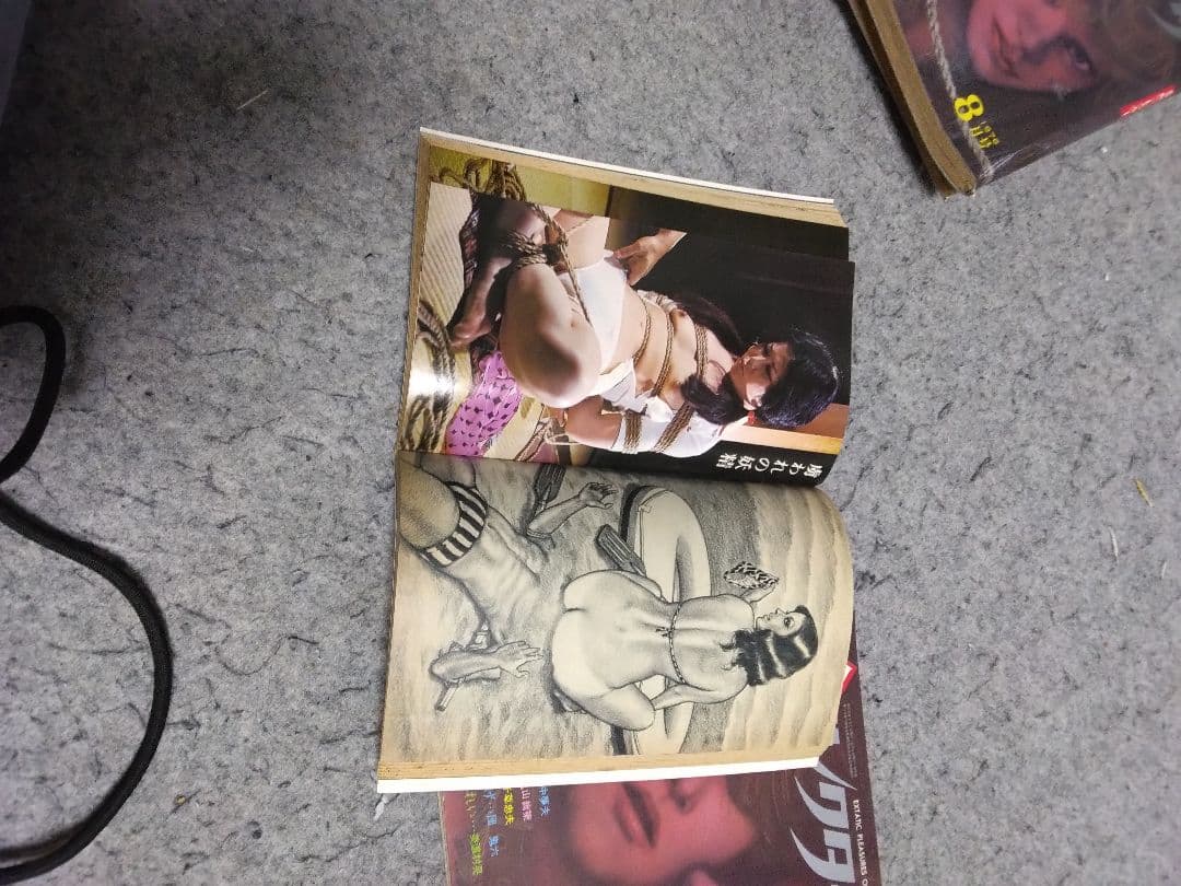 ★入手困難★匿名配送 昭和レトロ S&Mコレクター16冊 団鬼六、春川ナミオ他