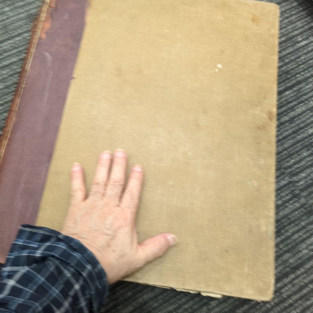 世界史的名著！ バーナード・ベレンソンのフィレンツェ派の素描 第一巻