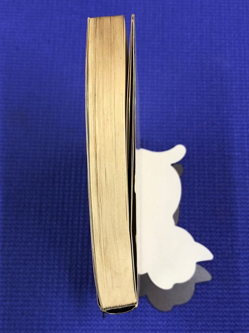 【古書】ライン河にさようなら　堀井大治郎　エバマリアヘンチェル　立風書房