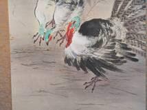 真作】掛軸 竹垣と七面鳥図 花鳥図 雅趣あふれる禽鳥図 合箱入 S13
