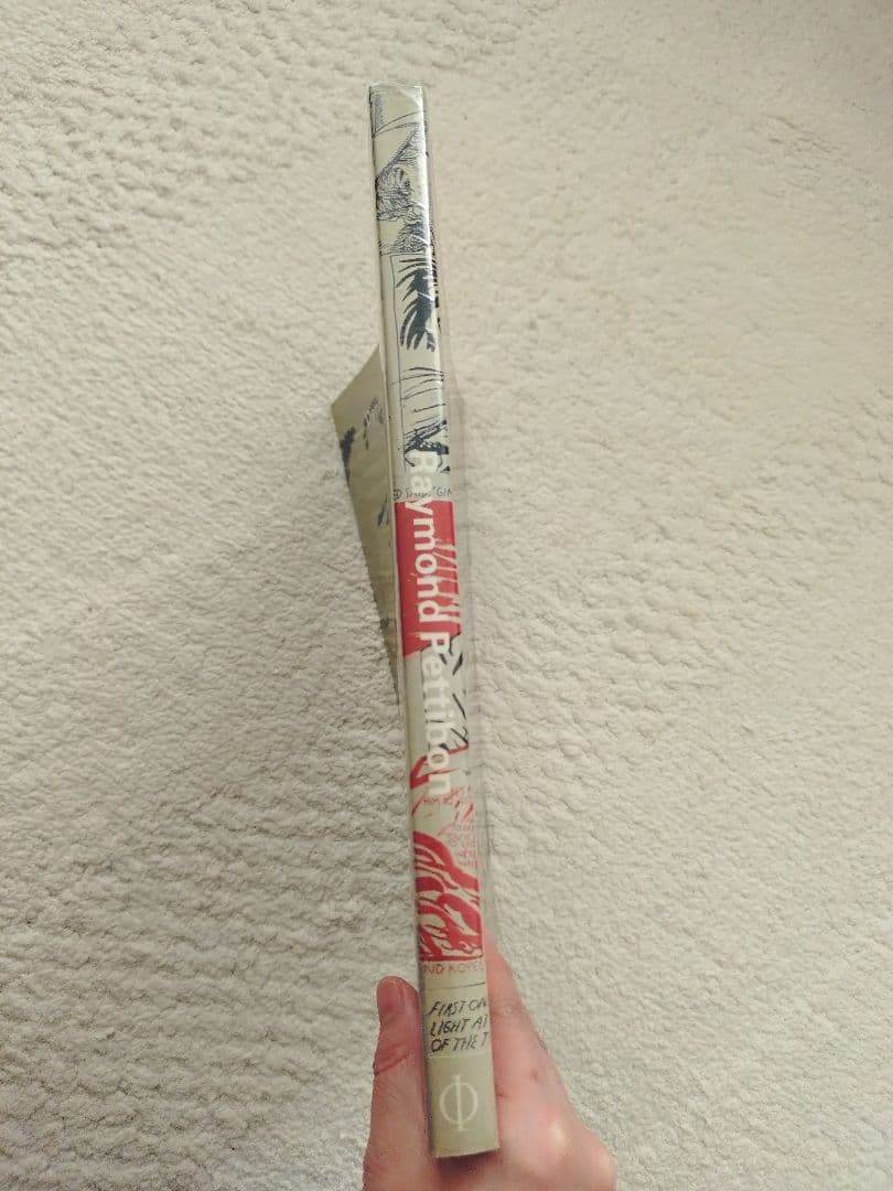 レイモンド・ペティボン Raymond Pettibon 英語版 ソフトカバー - メルカリ