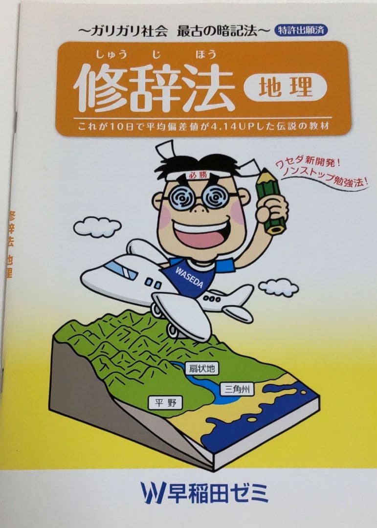 早稲田ゼミ 修辞法教材 歴史 地理 公民 理科 4冊セット