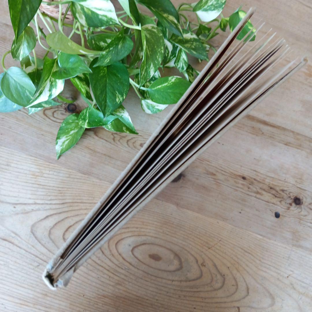 洋書古書1922年メッセージ 楽譜シューマン ルメール画集アンティーク