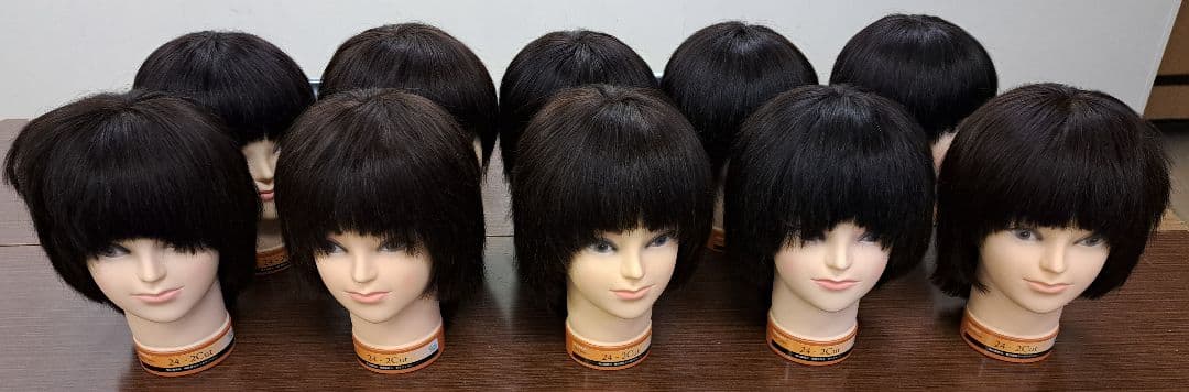 美容師国家試験 カット済みウィッグ10体 - メルカリ