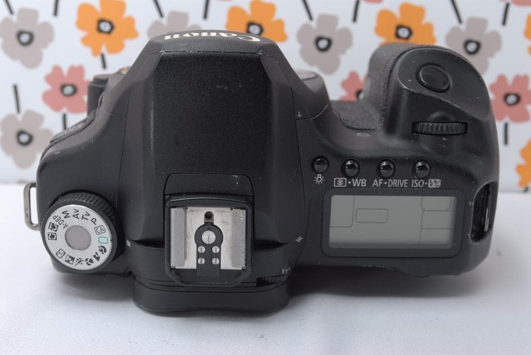 ❤Canon 50D❤ハイアマ必見お手頃中級機！❤撮影基本セット❤プロも御用達❤