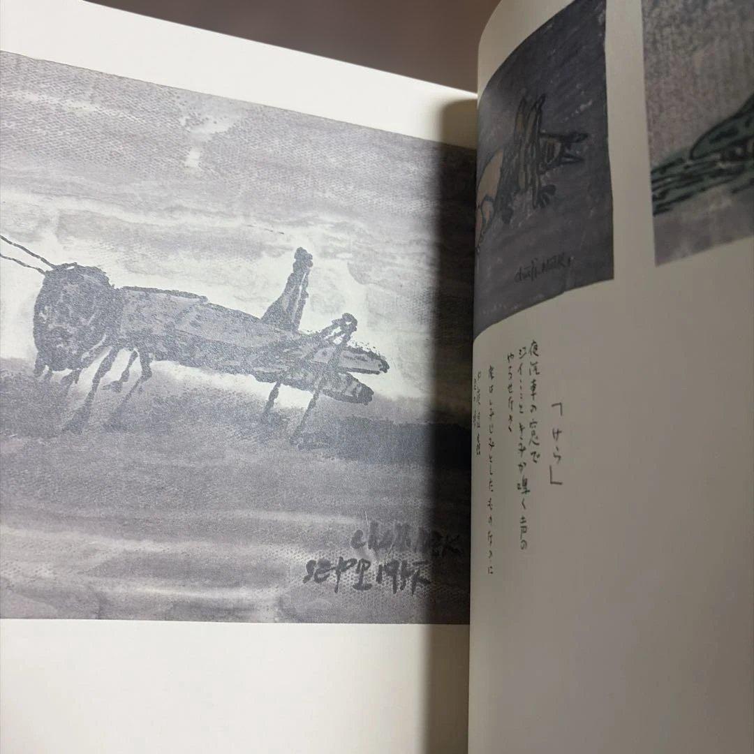 【希少本】 花と虫とピエロと 中村忠二画文集