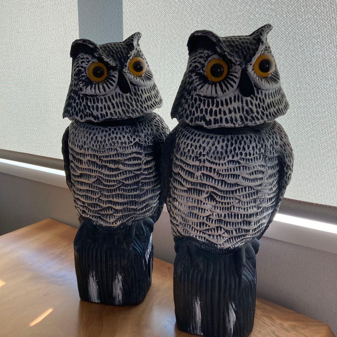 お値下げ⭐︎フクロウ鳩よけ置き物 2体セット - メルカリ