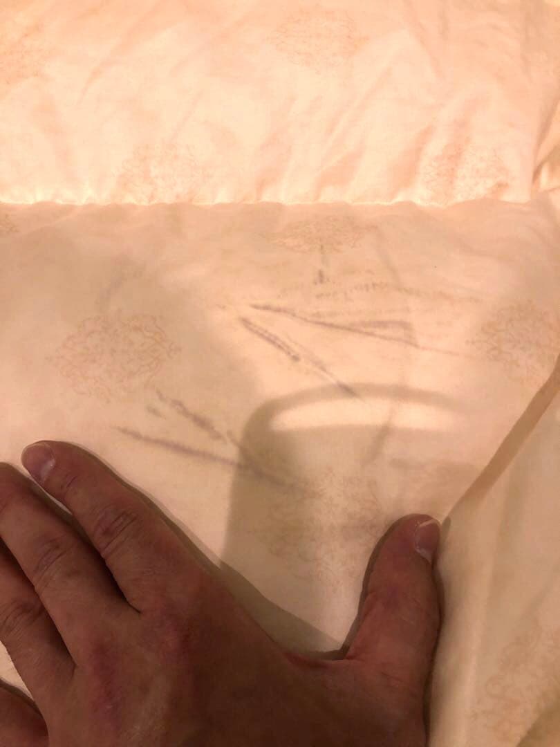 手摘み羽毛　ピルゼン産　グース95% シングル　1.0k 超長綿100％　軽量