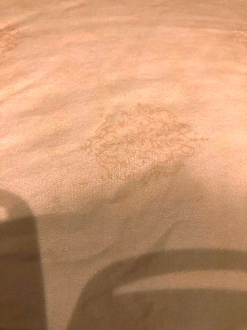 手摘み羽毛　ピルゼン産　グース95% シングル　1.0k 超長綿100％　軽量