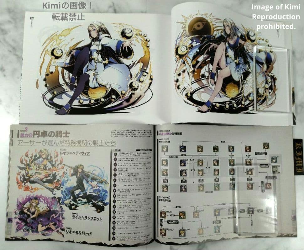 ディバインゲート OFFICIAL ART WORKS 本 2015 初版 画集 - メルカリ