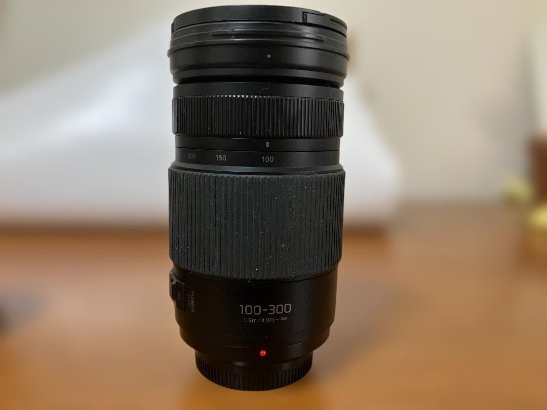 【価格相談可】LUMIX G VARIO 100-300mm/F4.0-5.6