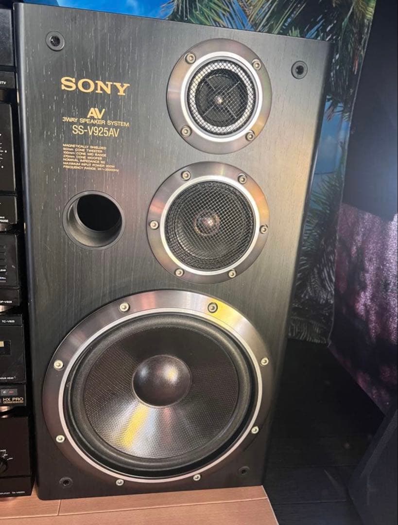 内蔵ブルーツゥース変更可能SONYリバティ LBT-V925 中古品レコード付き