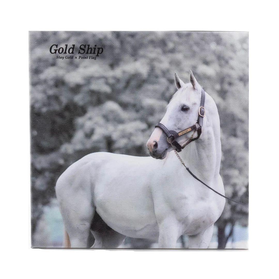 限定品♡ゴールドシップ インテリア キャンバスボード 競馬/午年