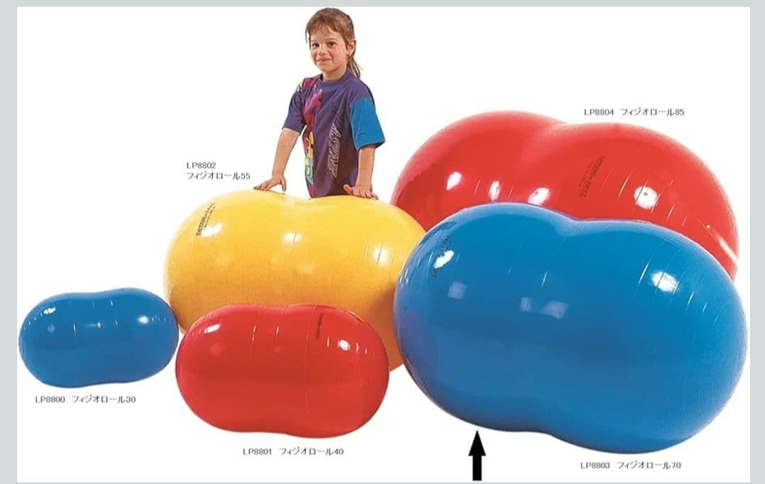 ギムニク フィジオロール 70cm 青いピーナッツ型バランスボール - メルカリ