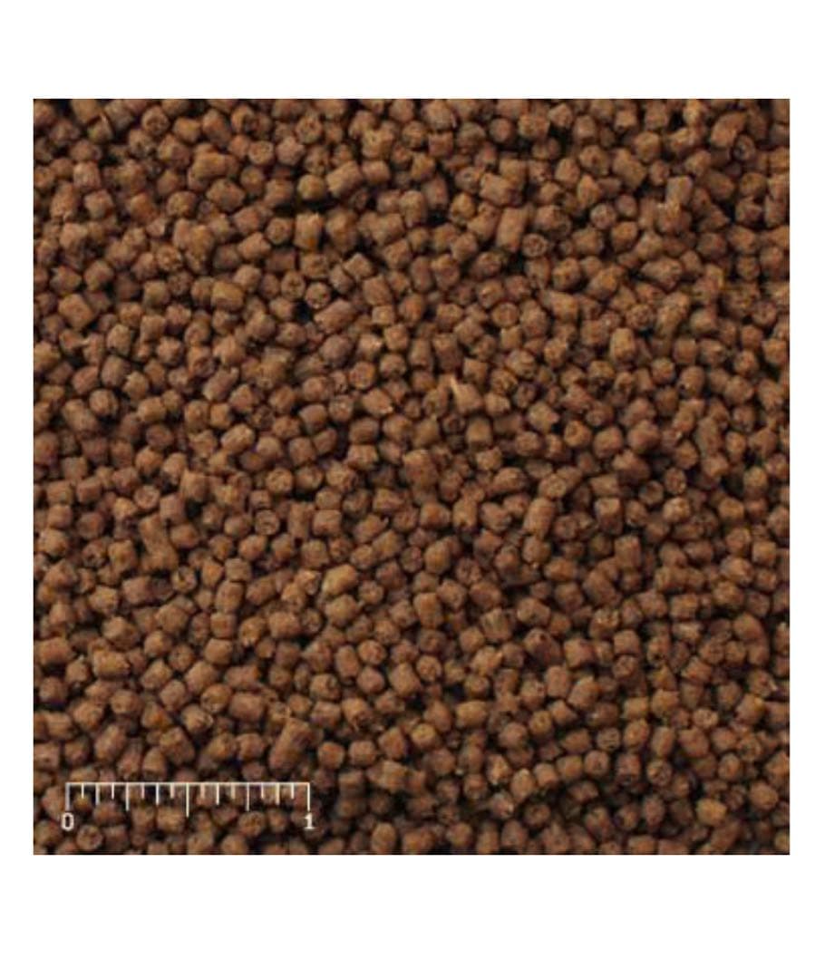 Mazuri インセクティボアダイエット 11.34kg