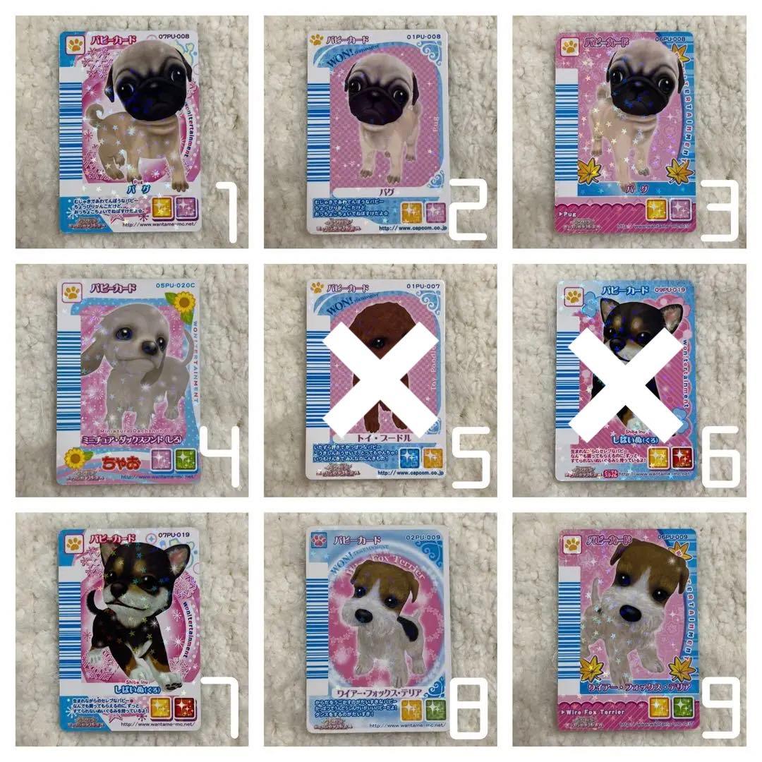 ワンタメ カード パピーカード - メルカリ