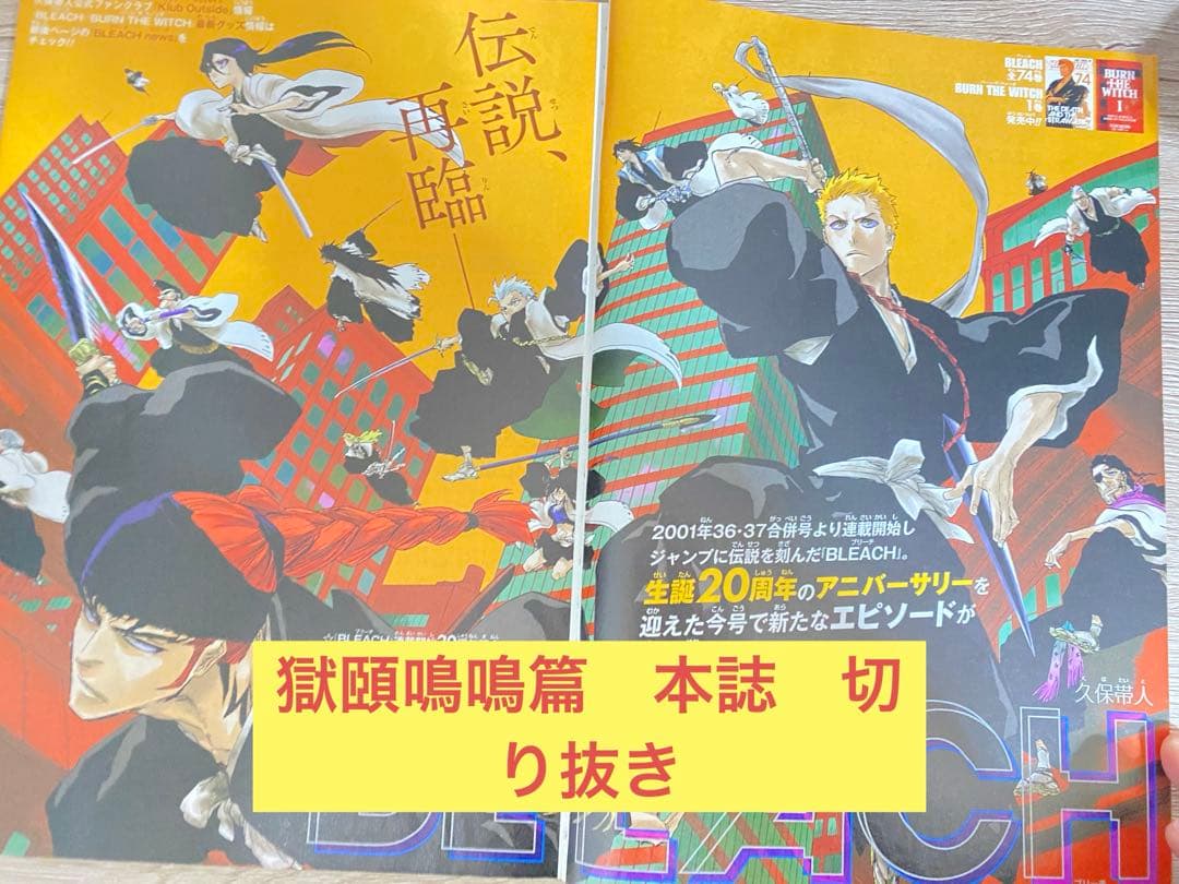 bleach ブリーチ 獄頤鳴鳴篇 本誌 切り抜き 黒崎一護