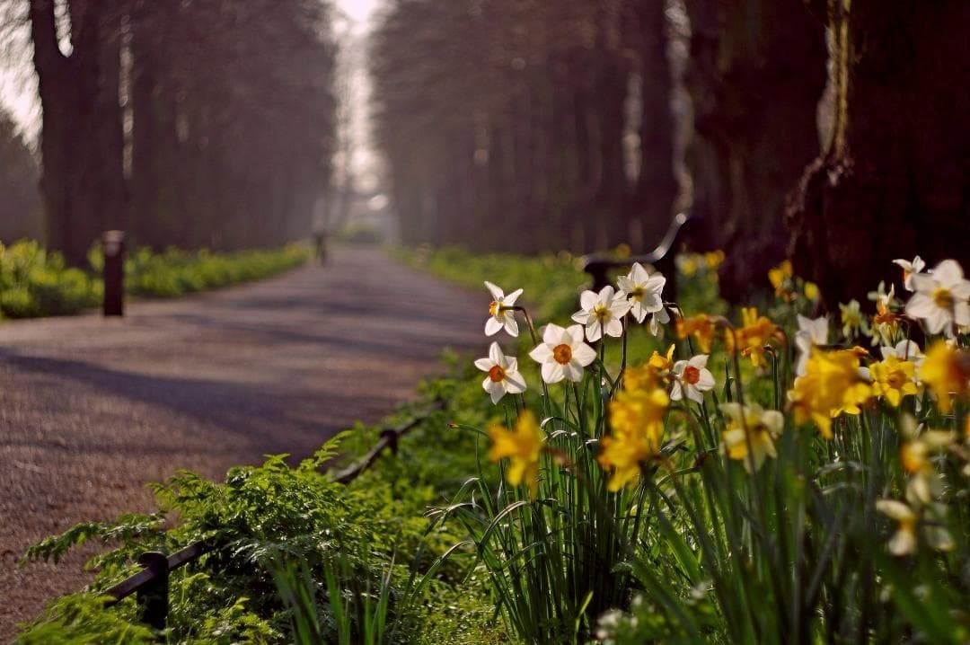 78【希少】初期型 Helios1950年製造 ヘリオス44 アダプター付 - メルカリ