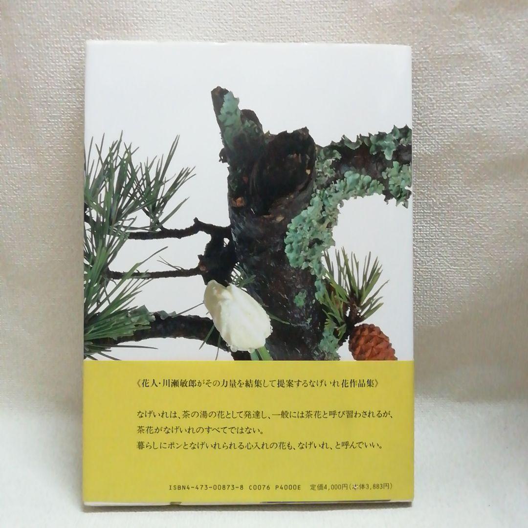 花は野にあるように なげいれのすすめ 川瀬敏郎 - メルカリ