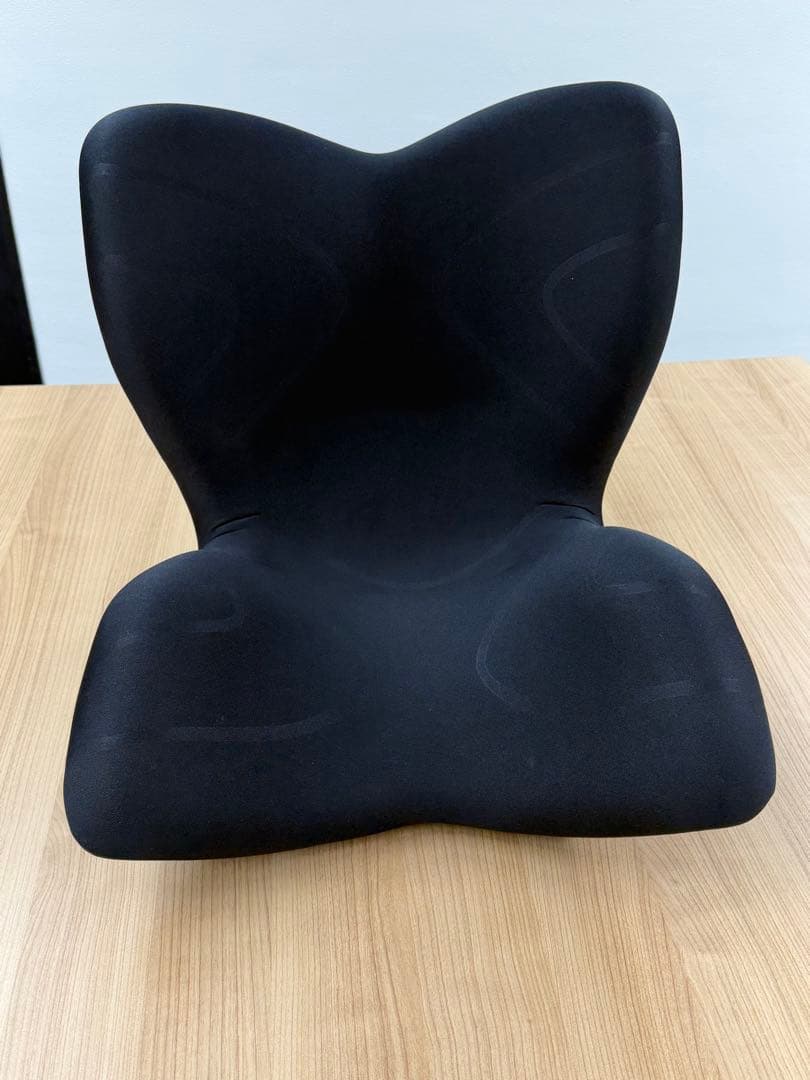Style PREMIUM 骨盤・姿勢矯正クッション Style（スタイル） ○ポイント10倍！○ MTG公式ストア 座椅子