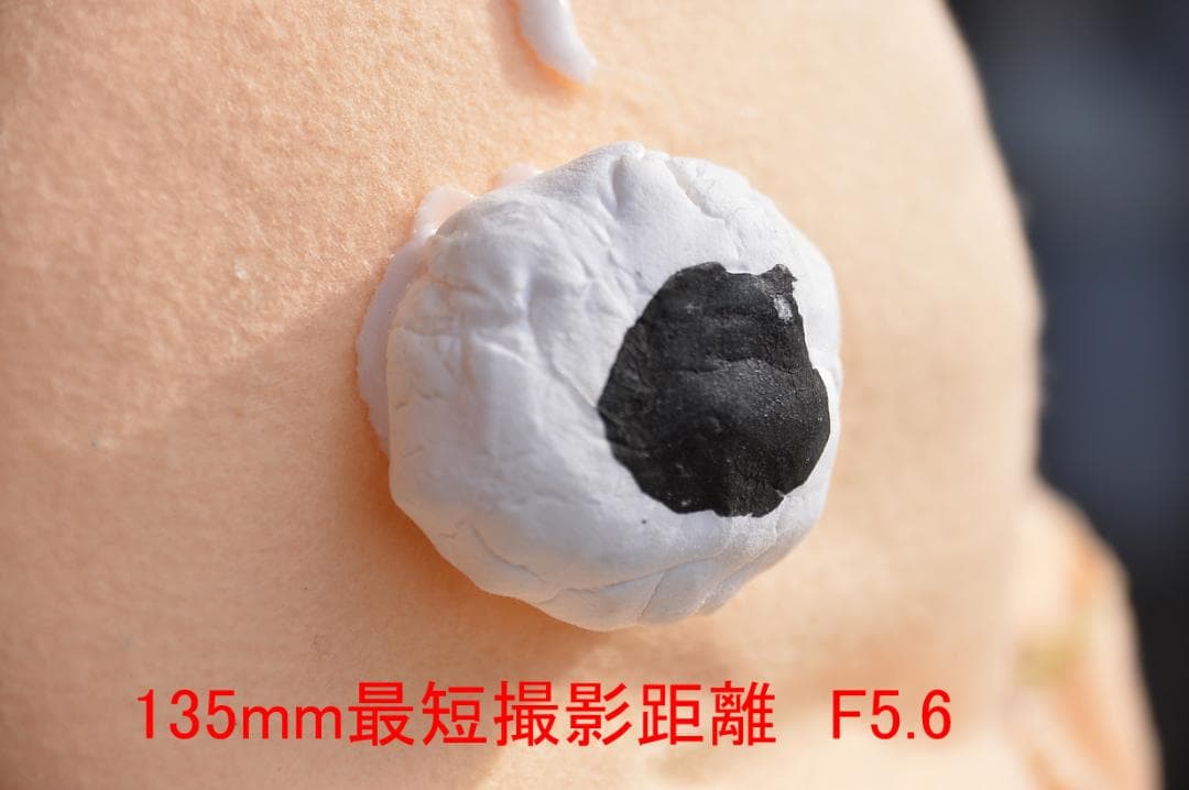 TAMRON SP 24-135mm F3.5-5.6 Nikon 50周年記念