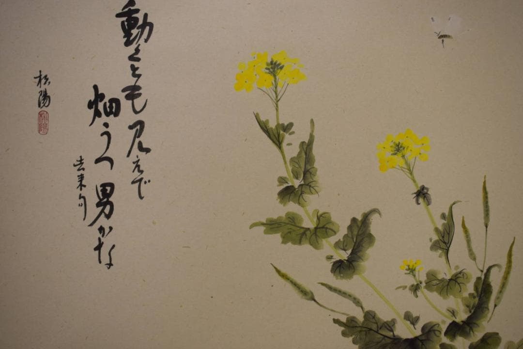 真作/松陽/なの花画賛/桐共箱付/布袋屋掛軸HG-822 真作/三輪幸風/紅葉に山鳩図/桐共箱付/布袋屋掛軸HF-165 真作】/三輪幸